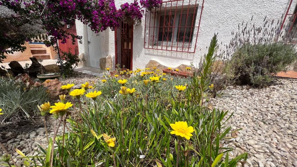 Casa Tanja - 3