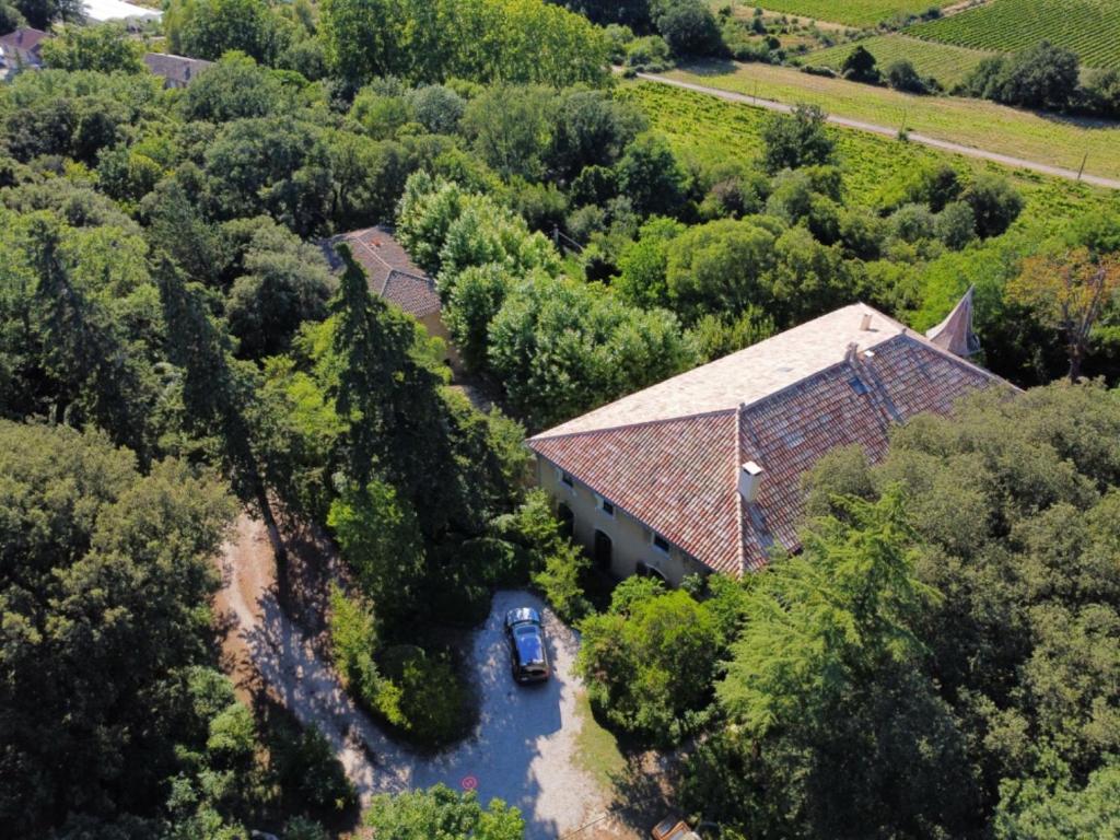 Château Daulone - 4