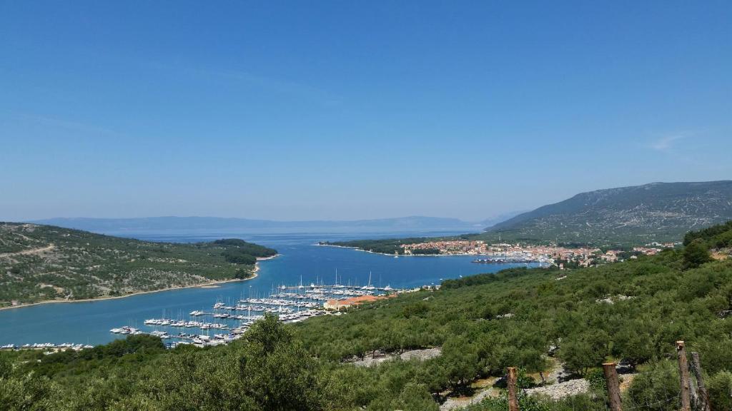 Hotel Zlatni Lav photo