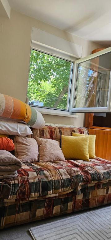 Zelena oaza, Banja Koviljača