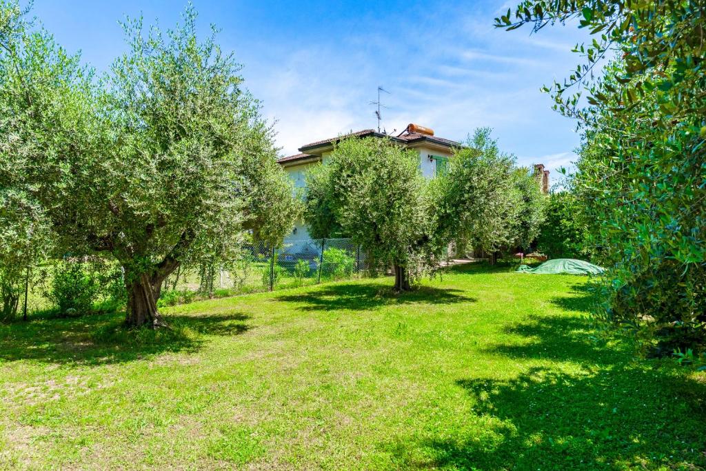 The Terrace on Lake Garda - lake view - 5