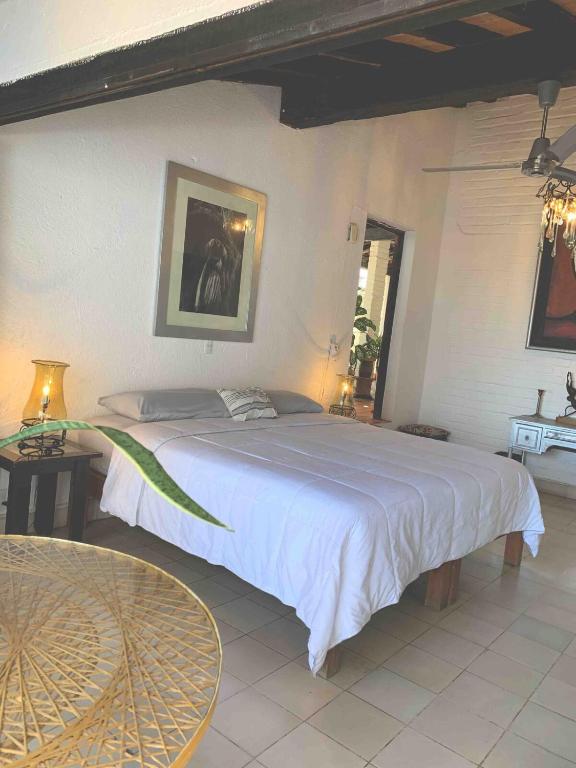 Rustic BR Downtown PV-Unique Vallarta Experience - 2