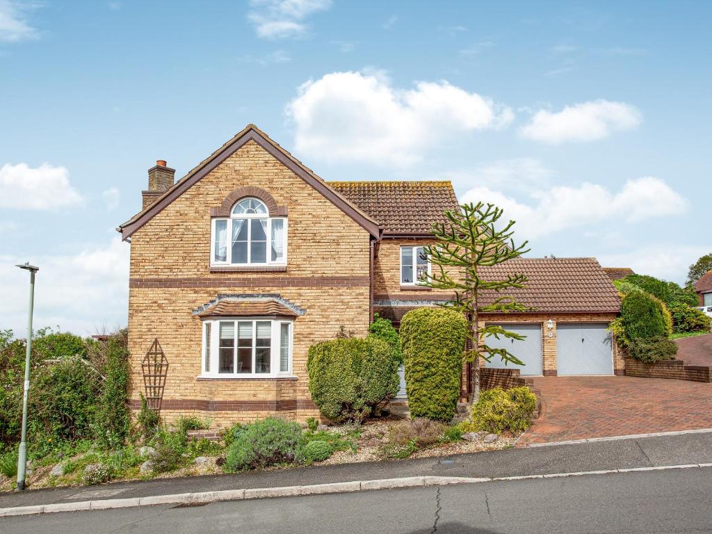 Squirrels, Teignmouth