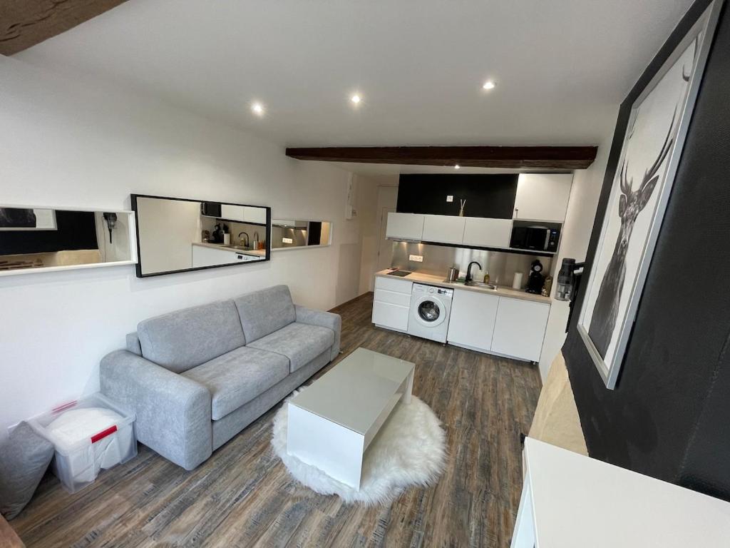 Appartement charmant hyper centre - 2