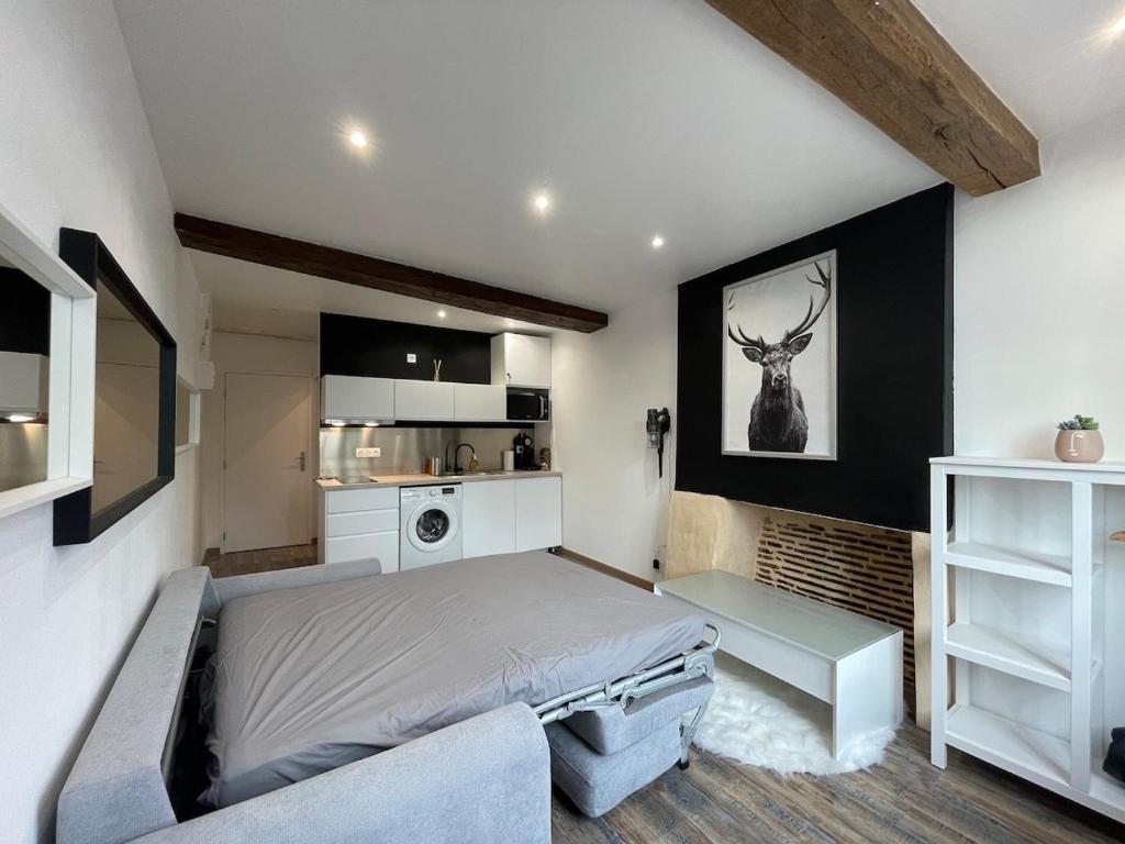 Appartement charmant hyper centre - 3