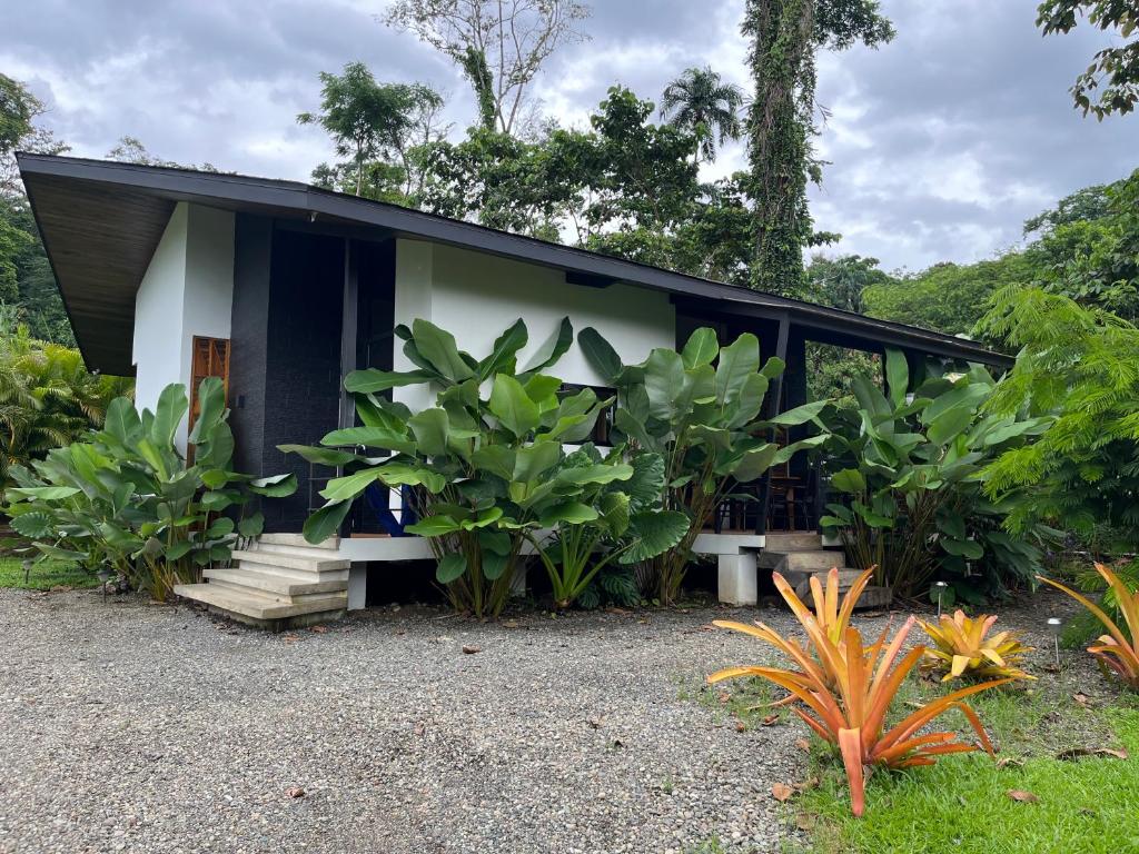 Casa Cacao, Talamanca