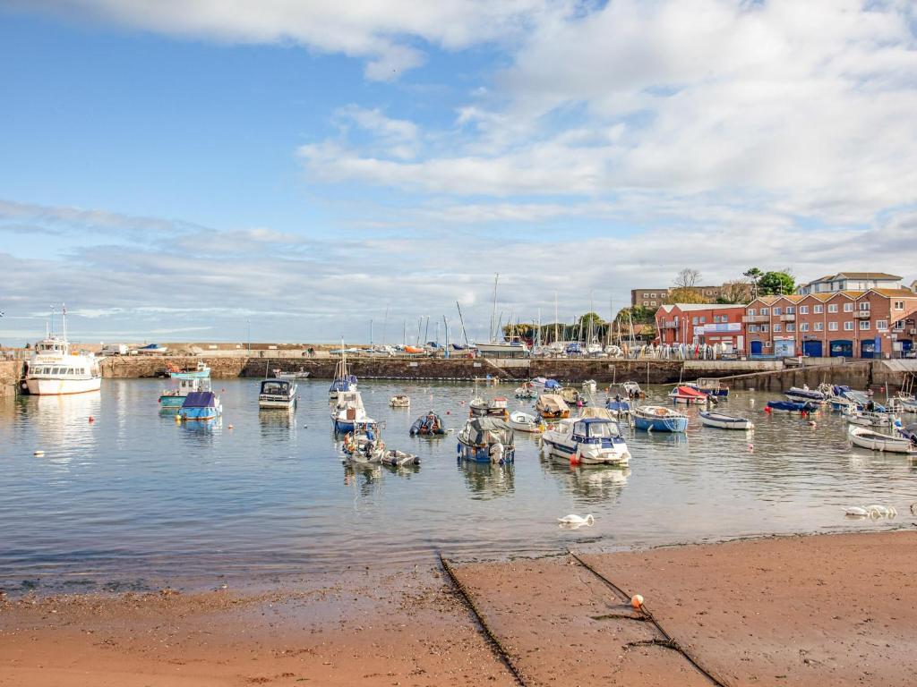 Beach Walk, Paignton photo 6