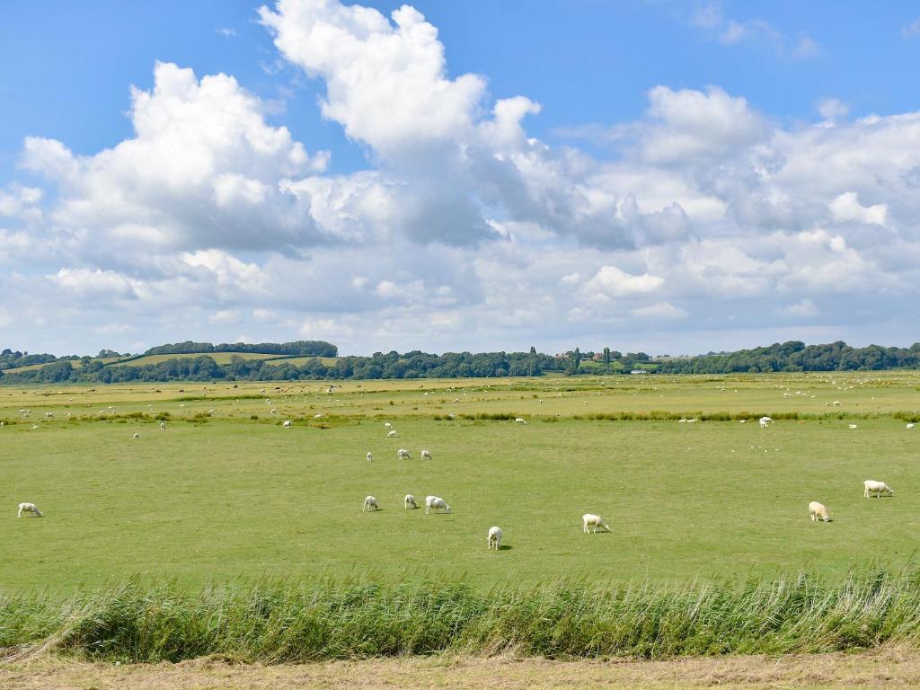 Newhope, Winchelsea photo 7