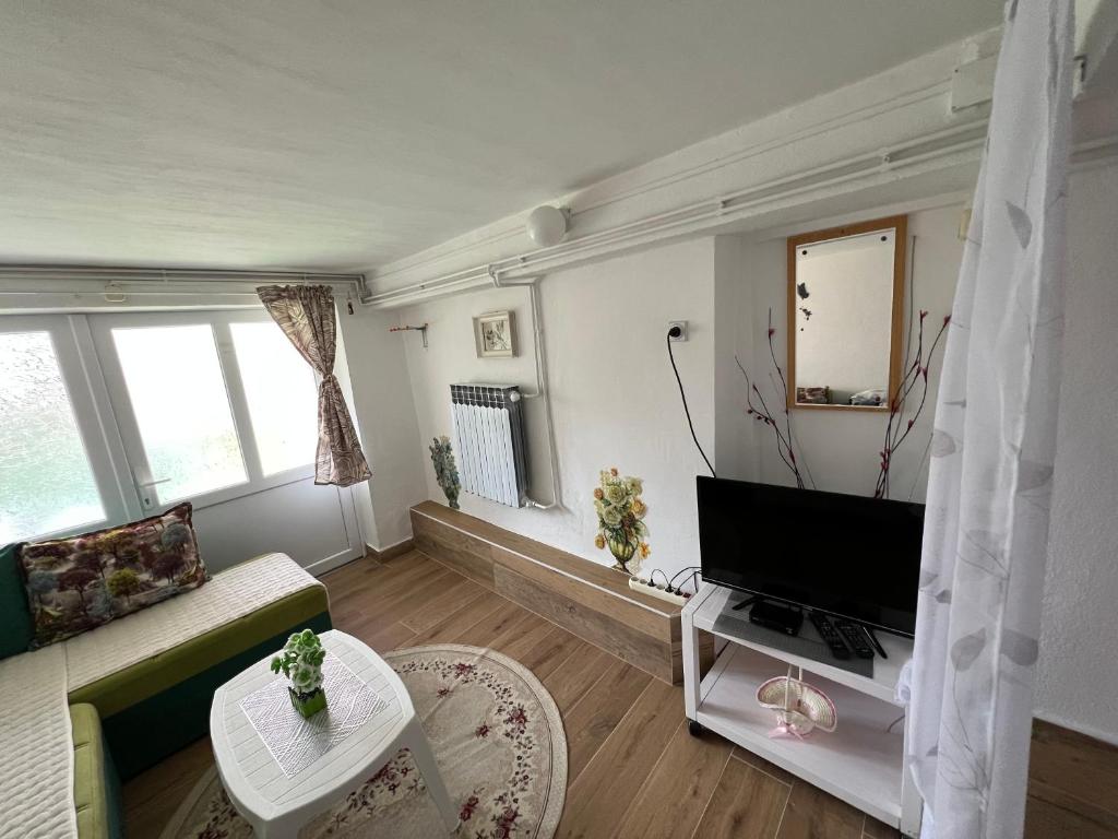 Apartments Obradović Milan - 4