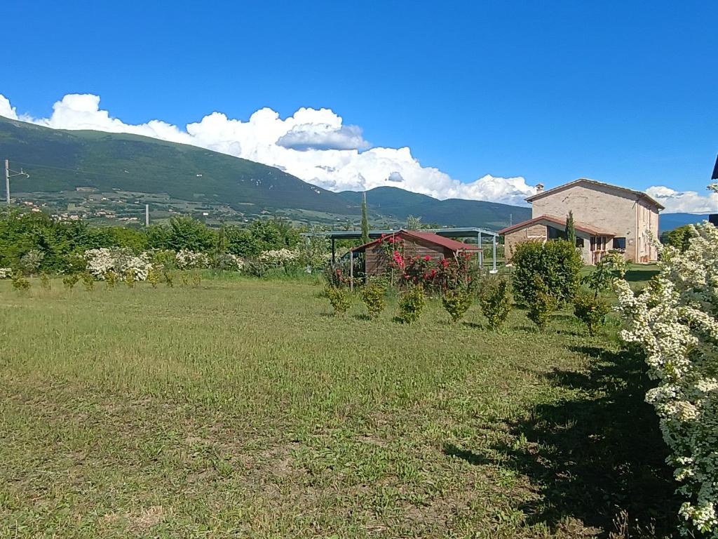 Casale Il Cantico della Tenerezza - 3