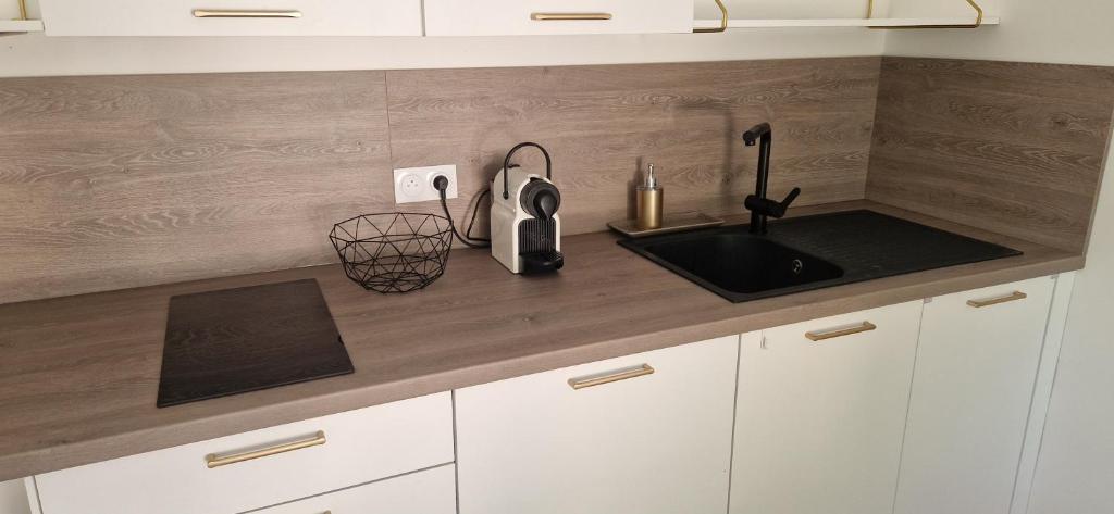 Studio avec jardin privatif - 3