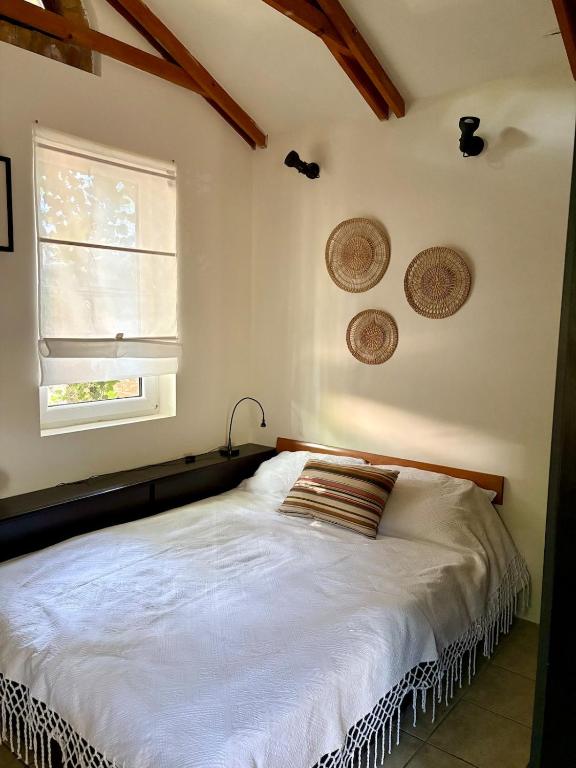 Tiny Home L&B - 3