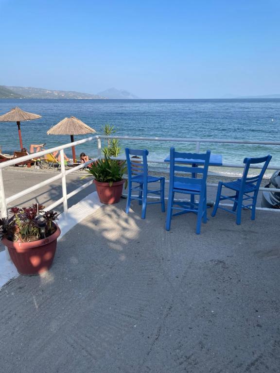 Ảnh 3