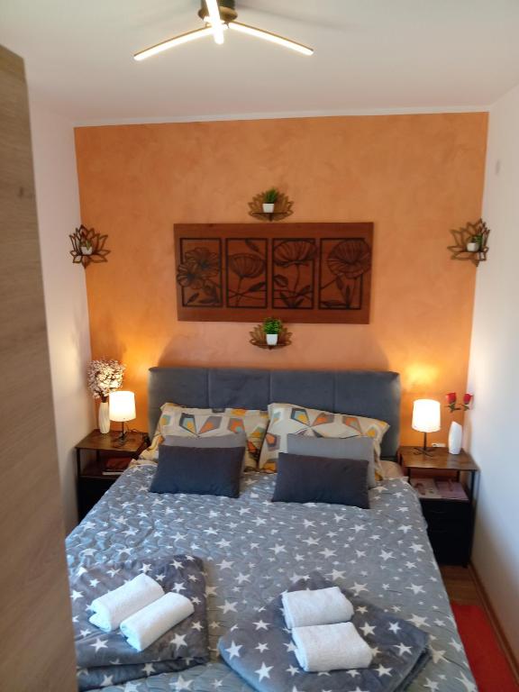 Apartmani Slatinska Oaza - 4