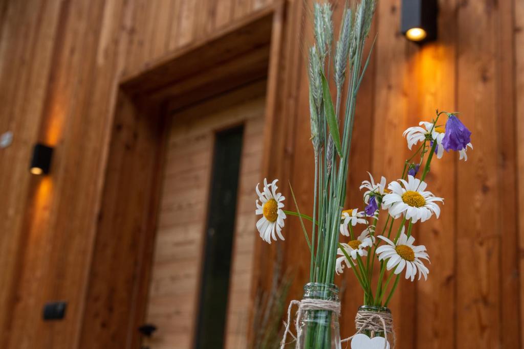 EGGA nature deluxe apartments - Panorama & Wellness, Kiens, Pustertal - 5