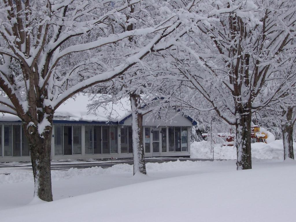 North Colony Motel and Cottages photo