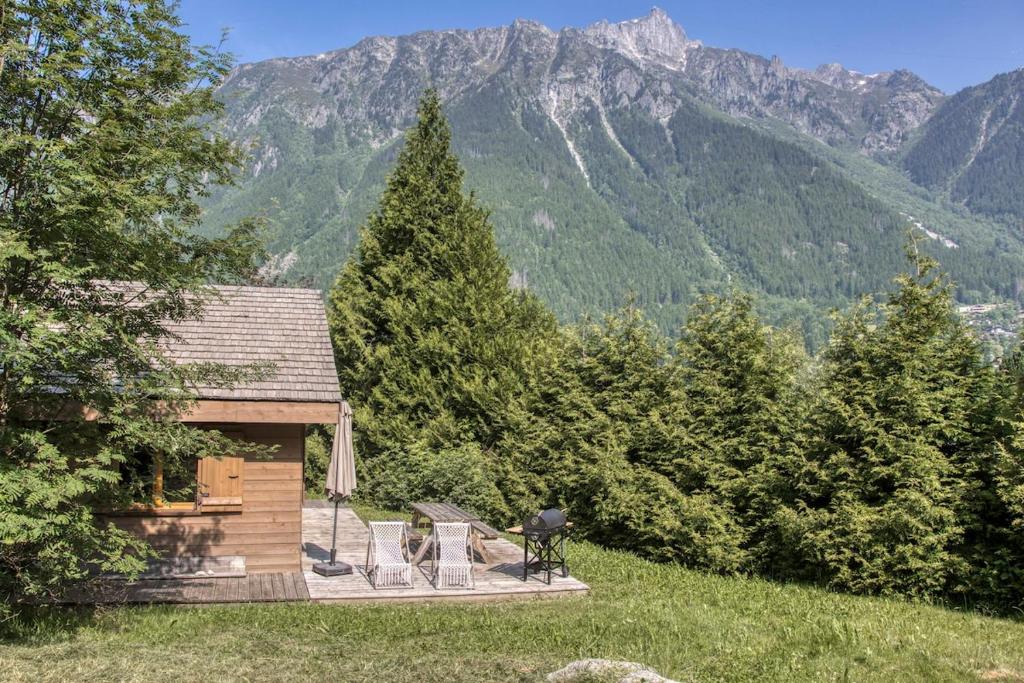 Le Chalet Georges - 4