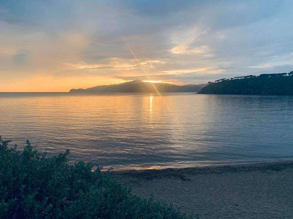 Pareti di mare - 1