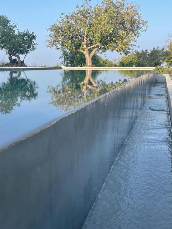 Case Vacanze Buonivini - 5