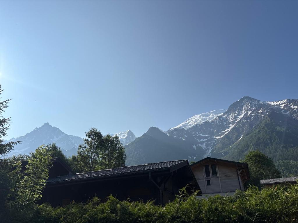Face au MtBlanc avec jardin - 2