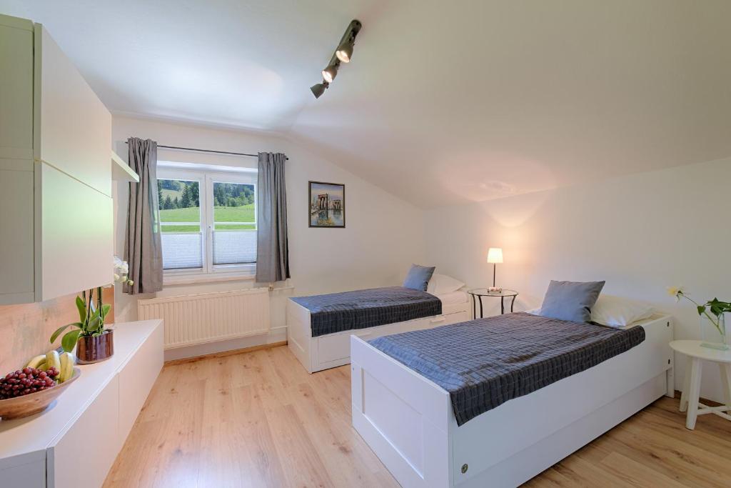 Das Talblick - Appartments - 4