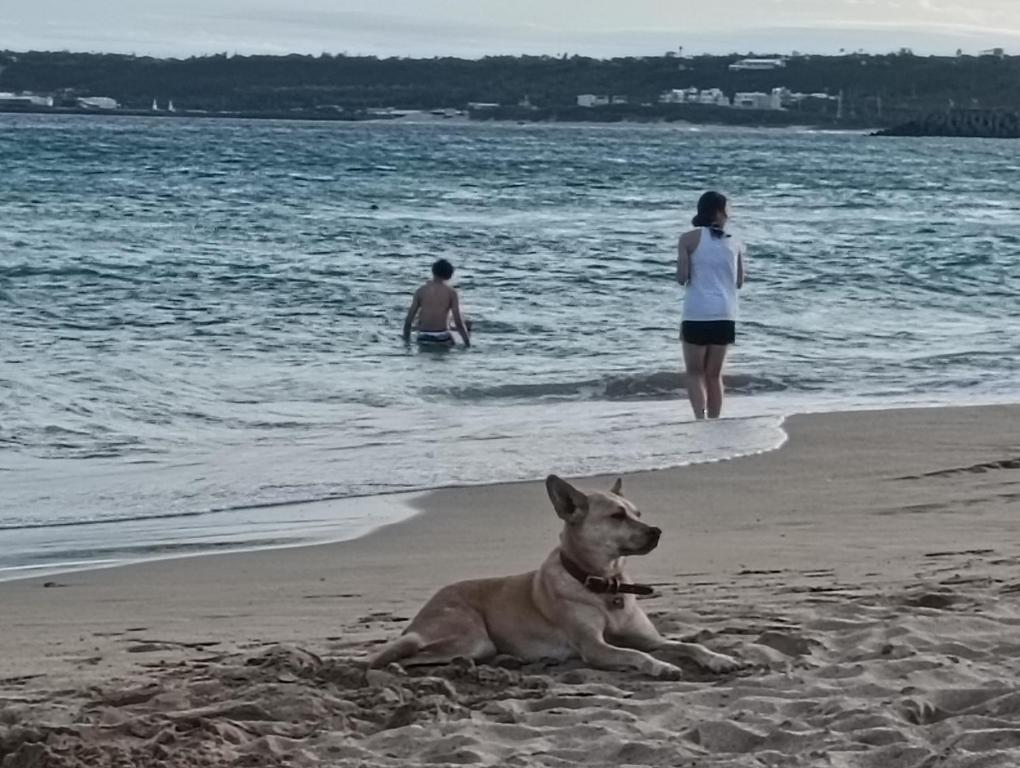 5. 臻韻濱海友善寵物..