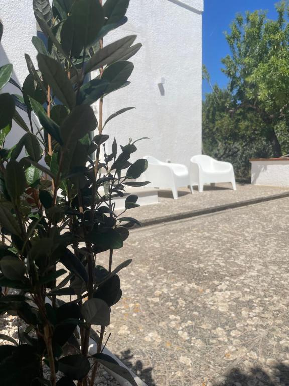 ConiBianchi - 5
