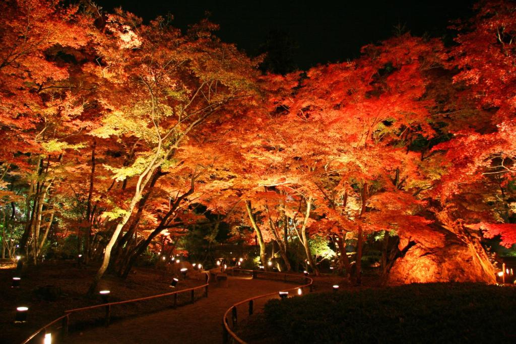 Nearby attraction