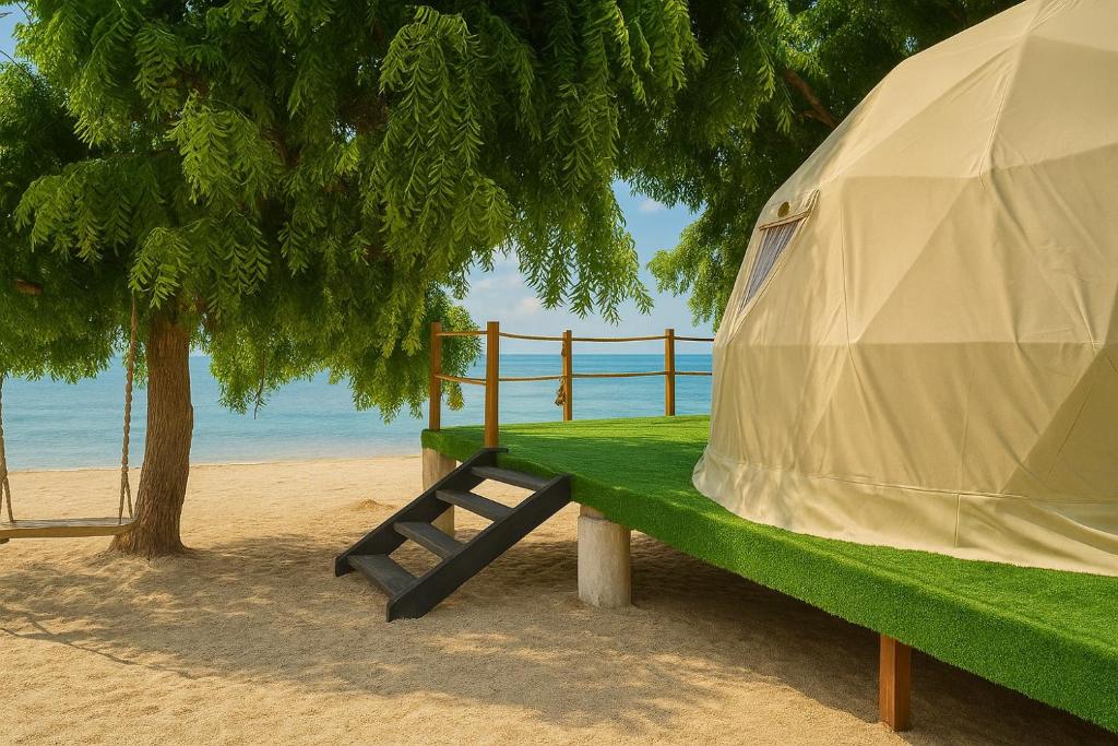 Vietnam Surf Camp