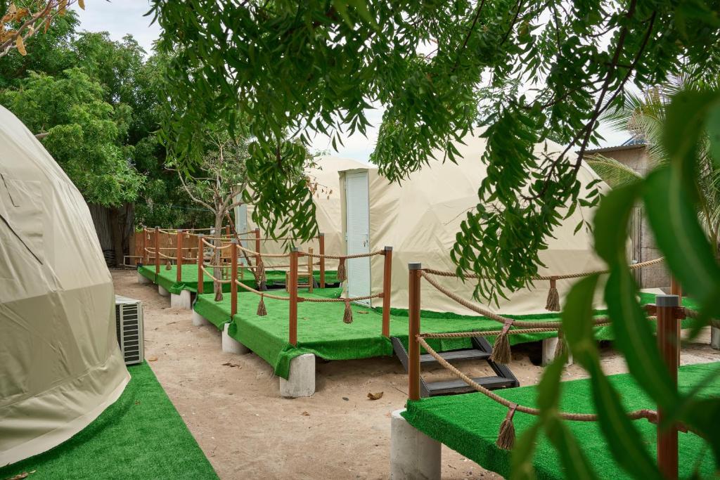 Vietnam Surf Camp