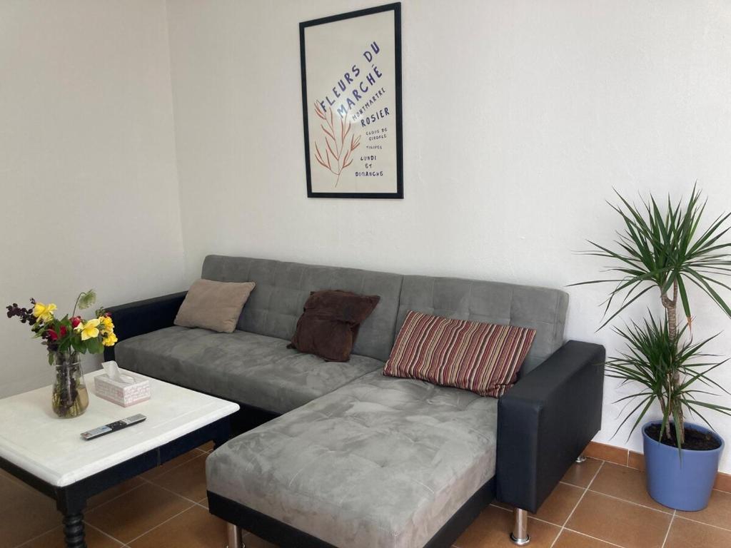 Apartamento Socorro - 2