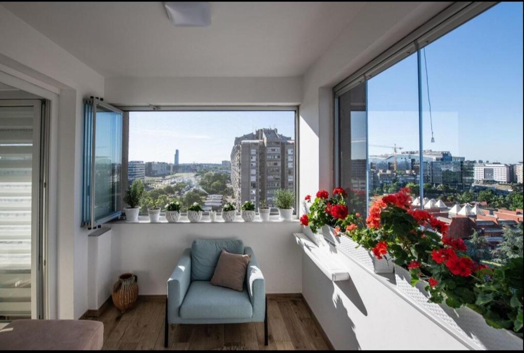 Magic Belgrade, Bělehrad