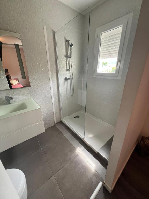 Charmant T2 en bas de villa avec jardin - 5