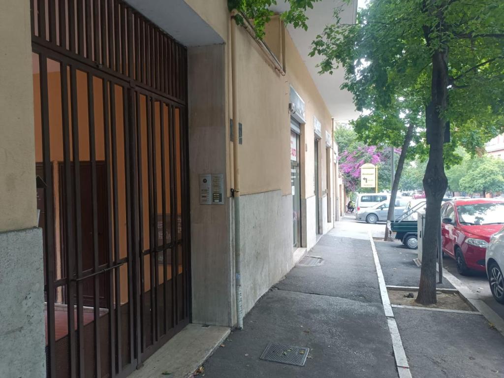 Beauty apartment in the green, direct link with center - 3
