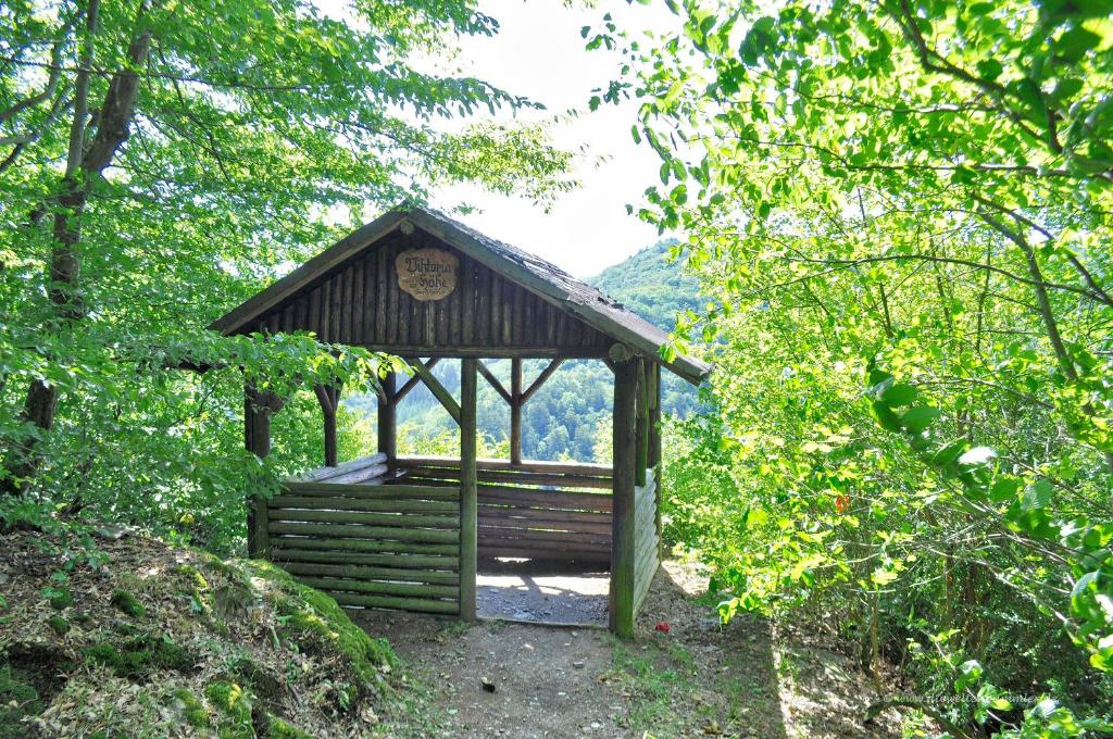 アクティビティ