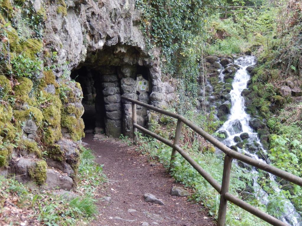 アクティビティ