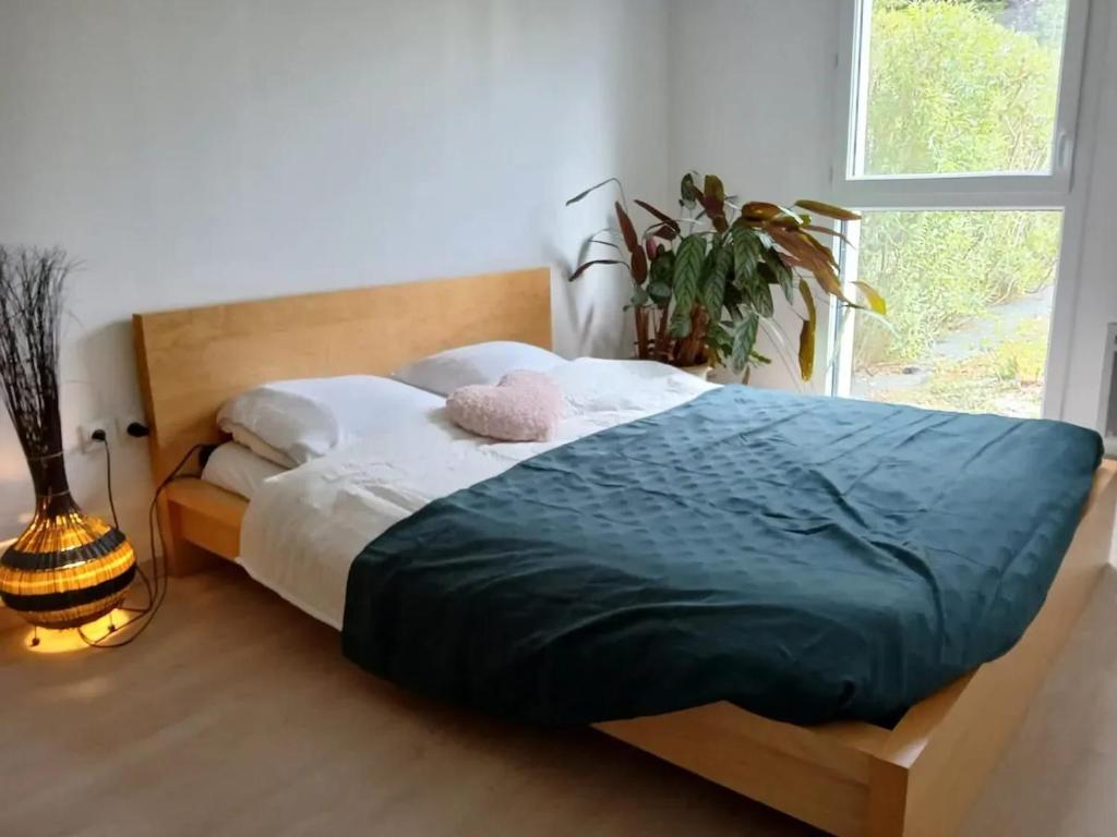 Appartement cosy à Caen avec terrasse et jardin - 5