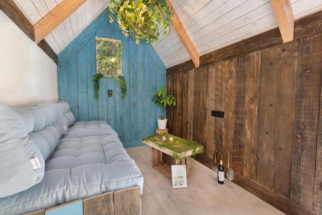 Mirabel - DreamsCanGrow, Hasselt