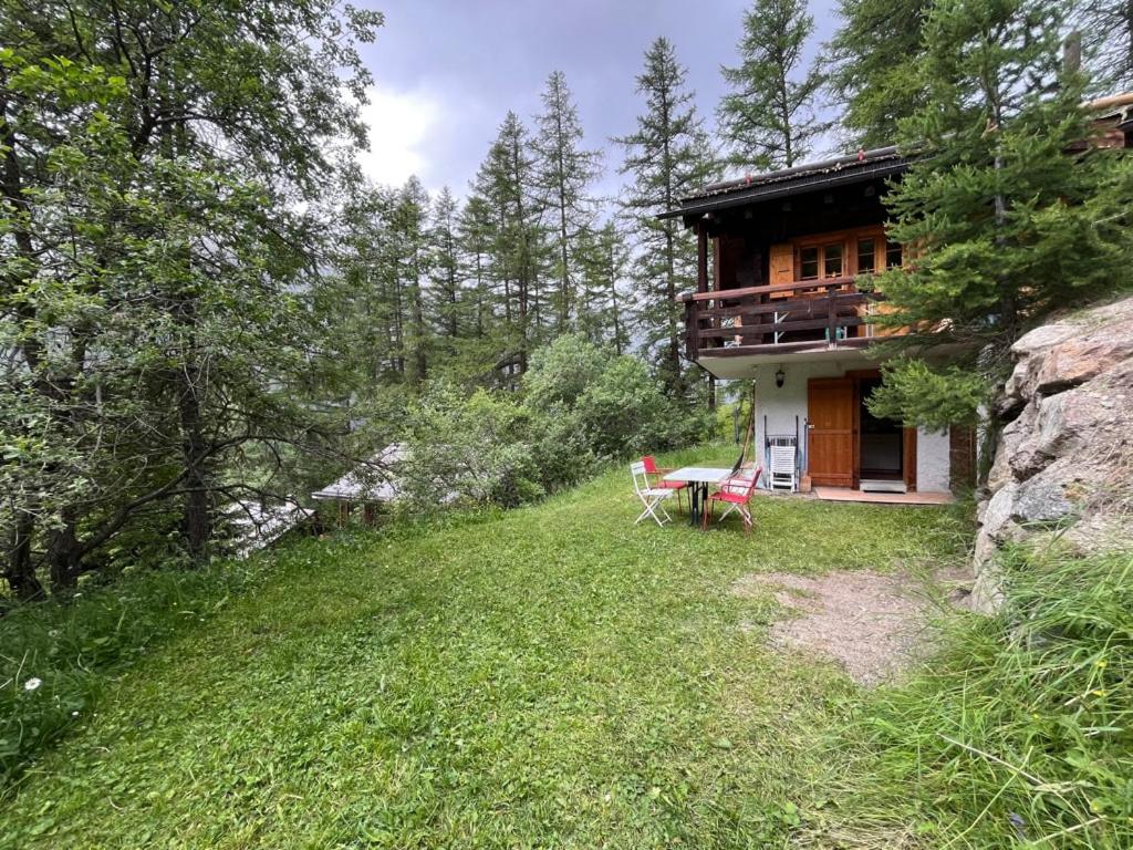 Appartement avec jardin au coeur de la nature - 1