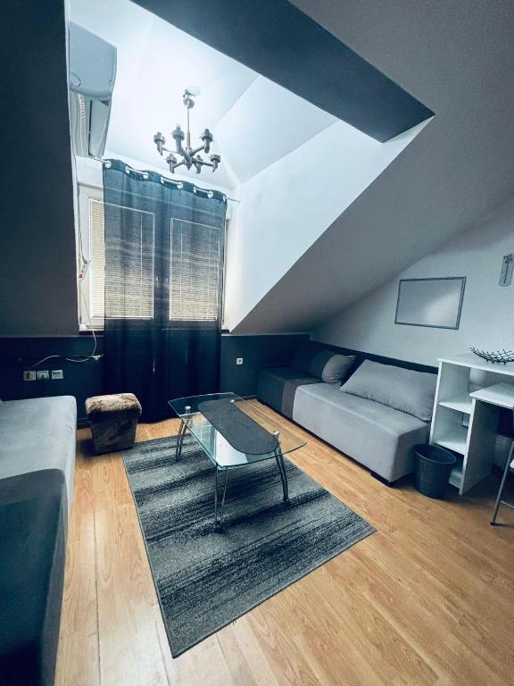 EXIT Festival Stay - 1MIN from City Center - 1