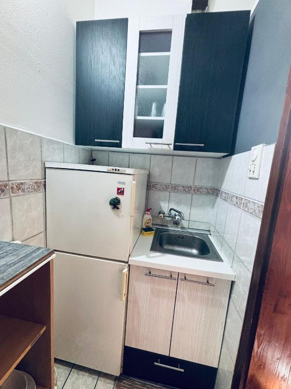 EXIT Festival Stay - 1MIN from City Center - 4