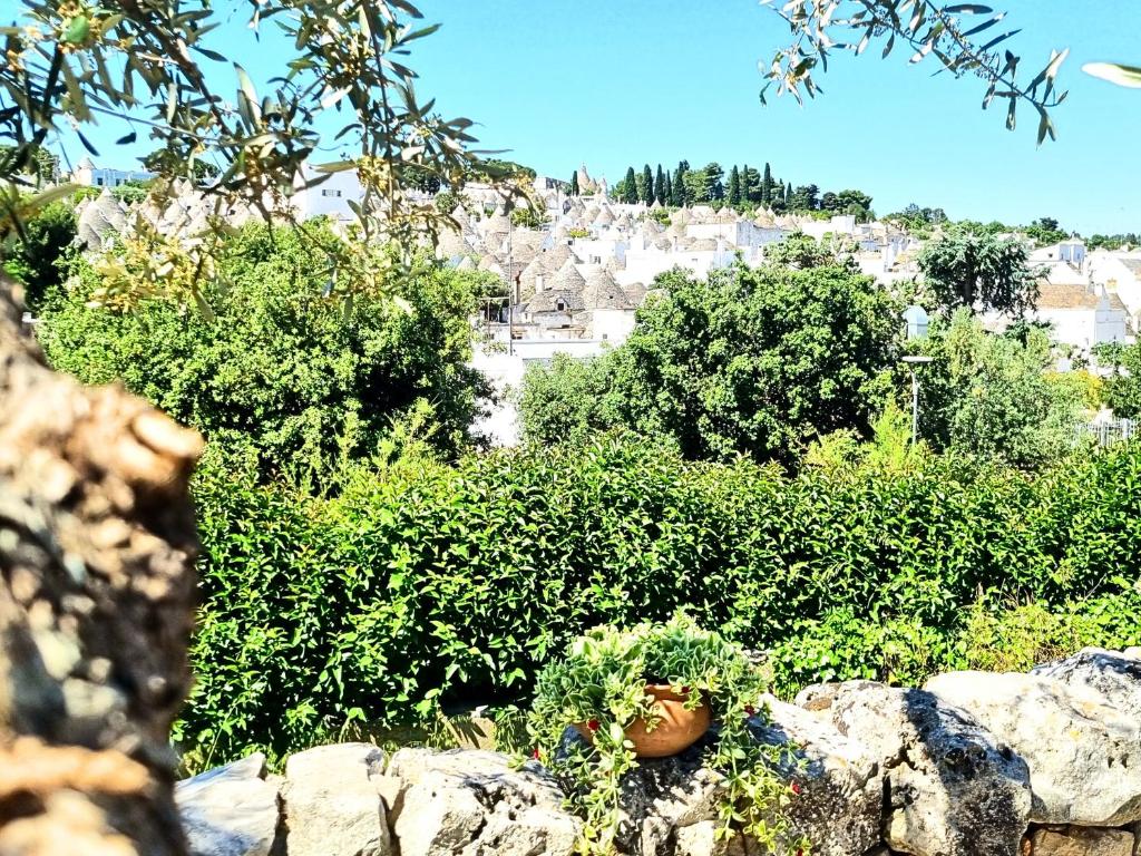 Panoramic Terrace - 4