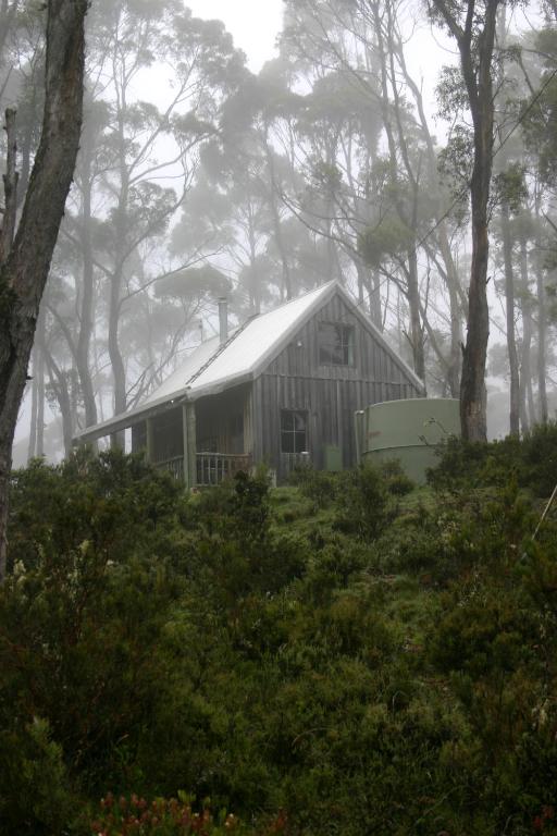 Wombat Cabin photo