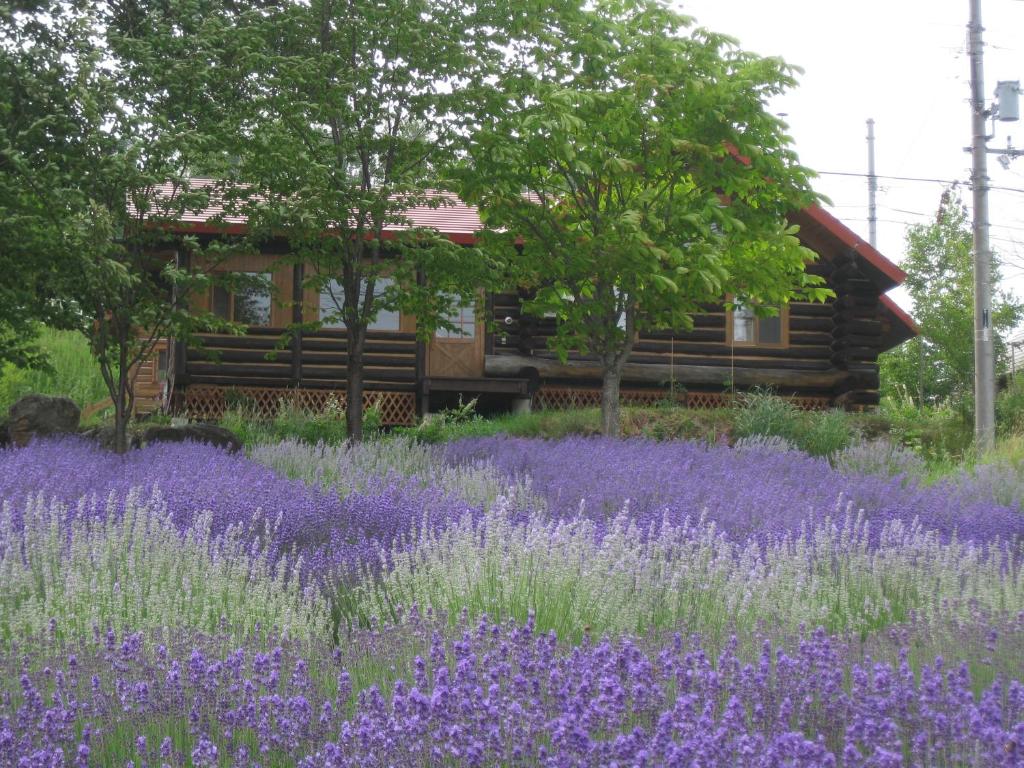 Log Cottage Himawari photo