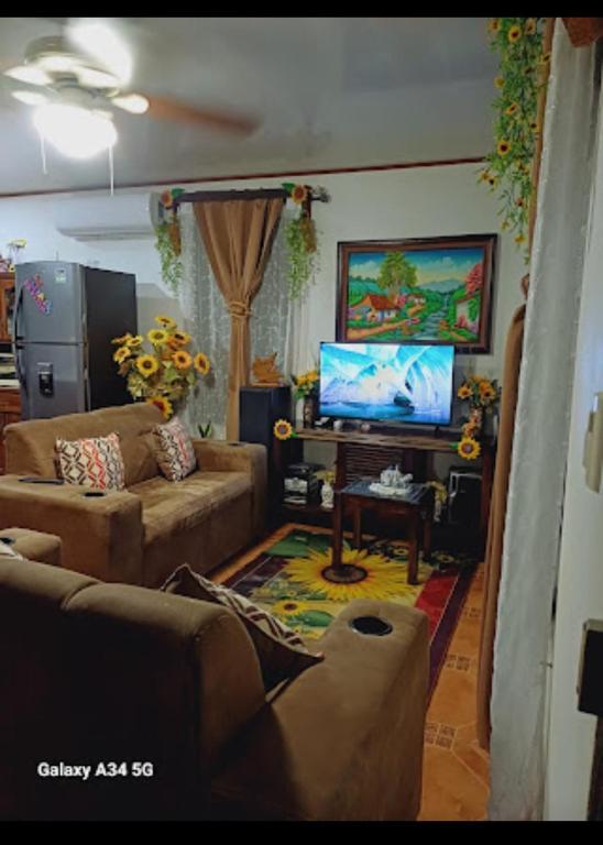 Sunflower, Puerto Jiménez