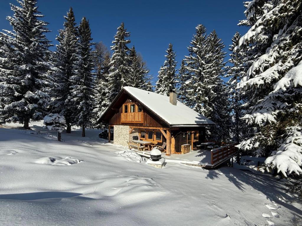 EULIUM - Retreat Chalet, Arriach
