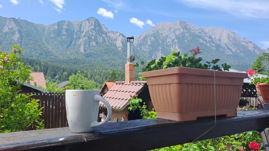 Casa Teomar, Buşteni