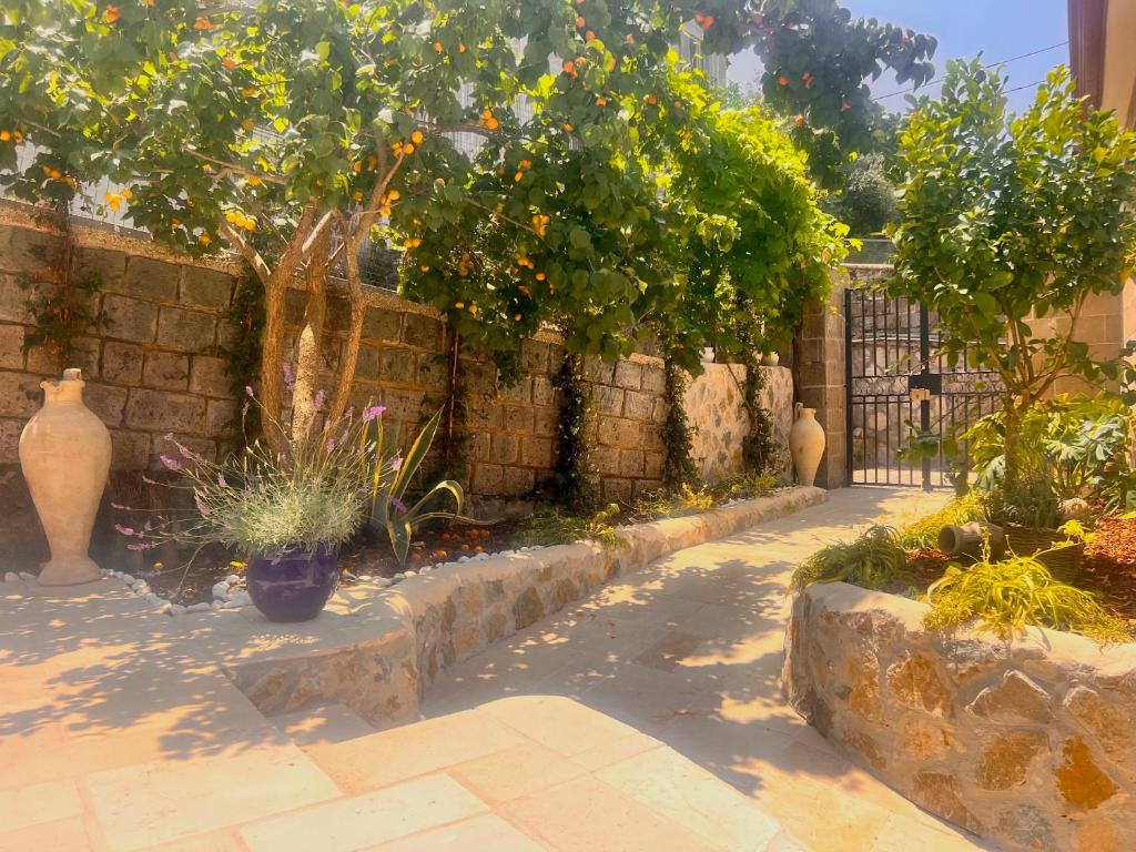 Casa Tua - Countryhouse- - 3