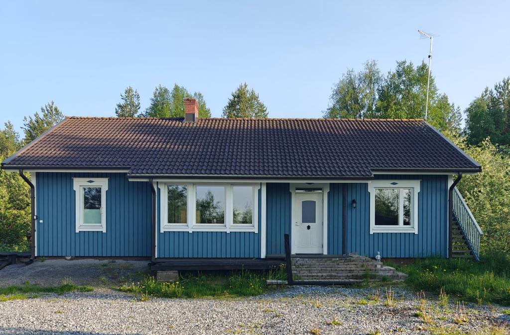 Siipyy blåhuse, Siipyy