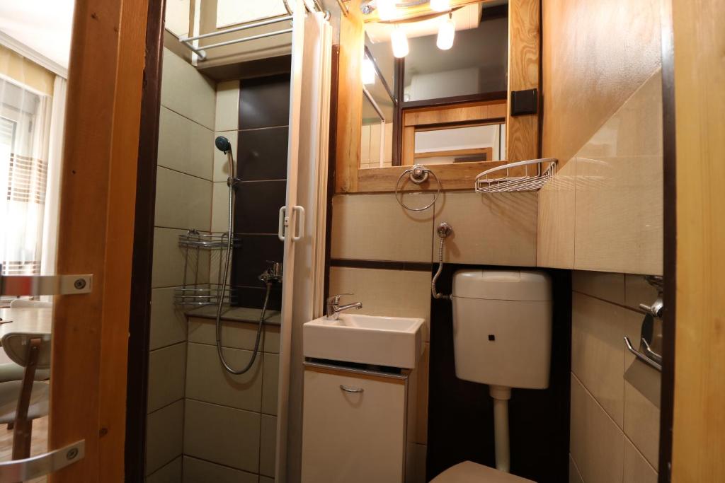 Studio Apartman Vojvoda - 5